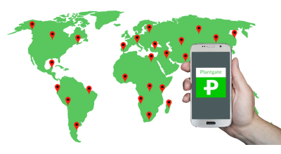 Some applications with Plantgate