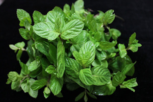 Image used for reference only for representing eucamenthol essence.